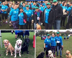 Charity Dog Walk