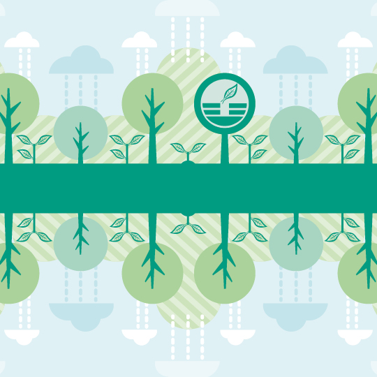 Desarrollo Sostenible