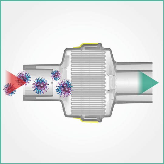 covid-19-statement-individual-image-4