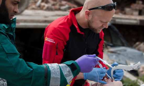 Estilete Introductor Universal