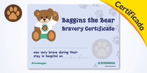 ES-explore-Baggins-the-Bear-images-certificate