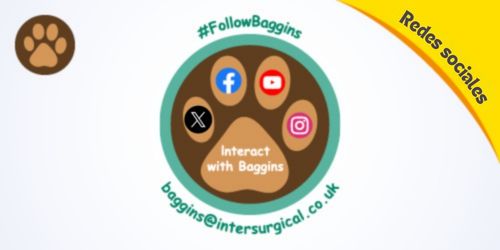 ES-explore-Baggins-the-Bear-images-social-media